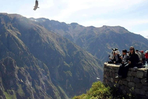 Heldag vid Colca + Transfer till Puno