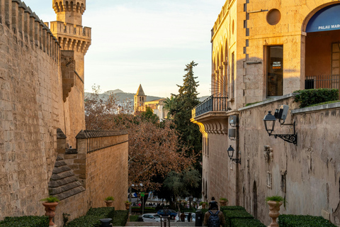 Palma: Old Town Guided Tour with Cathedral Skip-the-Line