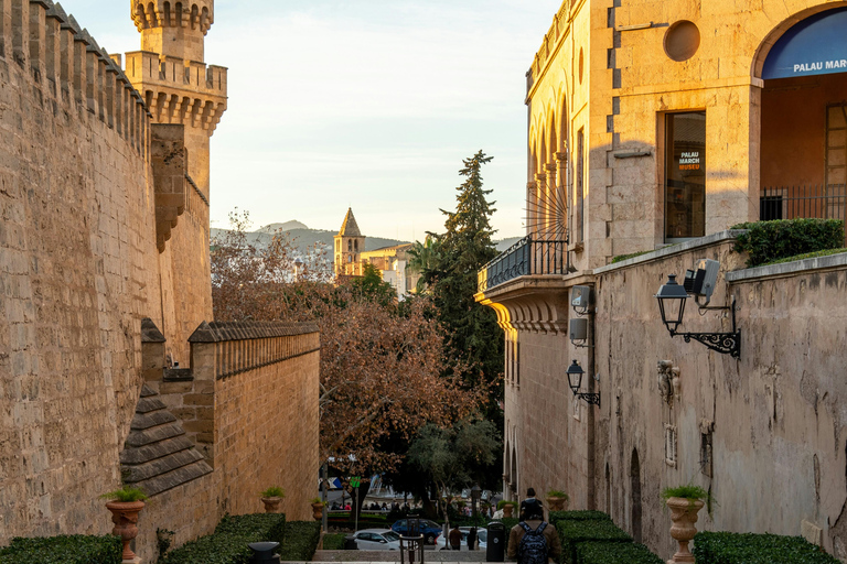 Palma: Old Town Guided Tour with Cathedral Skip-the-Line