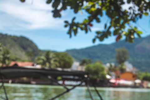 Rio de Janeiro: tour in barca della Laguna di Tijuca con fauna selvaticaRio de Janeiro: giro in barca sulla Laguna di Tijuca con fauna selvatica