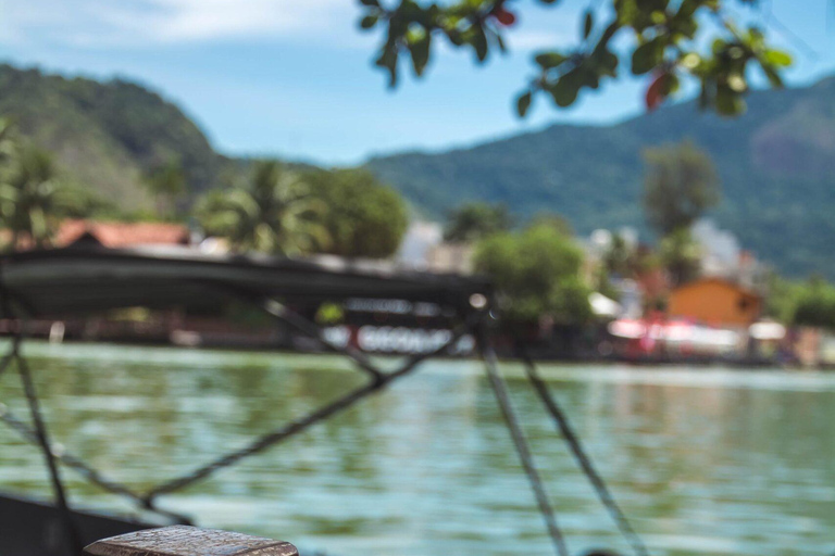 Rio de Janeiro: tour in barca della Laguna di Tijuca con fauna selvaticaRio de Janeiro: giro in barca sulla Laguna di Tijuca con fauna selvatica