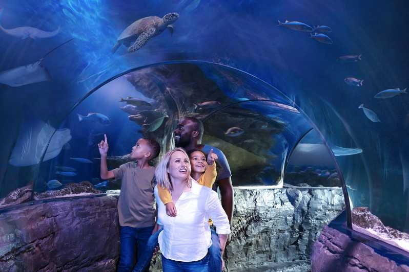SEA LIFE Aquarium at Mall of America Discounts for Military, Nurses, & More