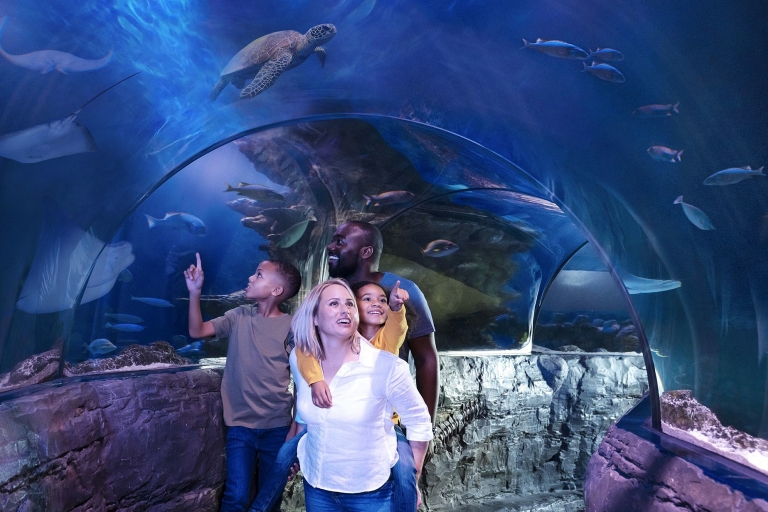 American Dream: toegangsticket voor SEA LIFE® Aquarium