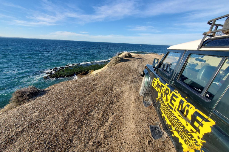 PUERTO MADRYN: PRZEŻYJ PRZYGODĘ 4 X 4 NA NAJPIĘKNIEJSZYCH PLAŻACH!