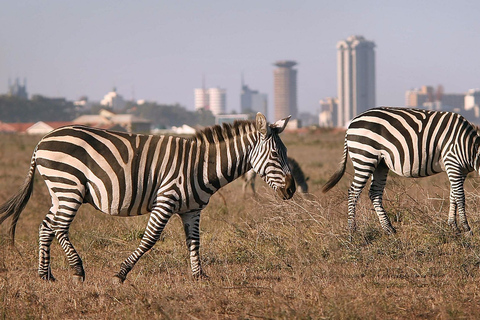 Halve dag Nairobi Nationaal park