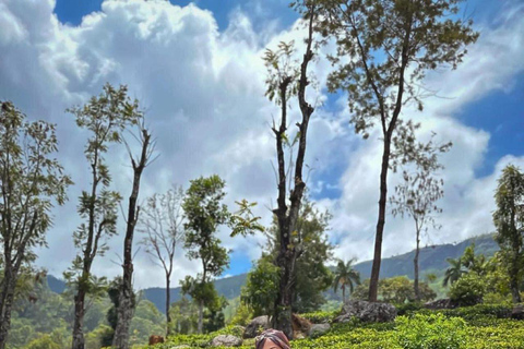 Tour de 6 dias por cidades diferentes com naturezas diferentes