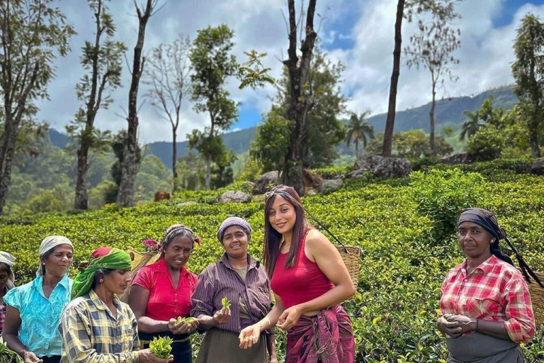 Tour de 6 dias por cidades diferentes com naturezas diferentes