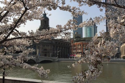 Shanghai: Suzhou Creek Sightseeing Cruise with Guide Service