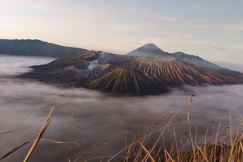 Yogyakarta:Yogyakarta Bromo Sunrise Ijen Blue Fire Land Tour