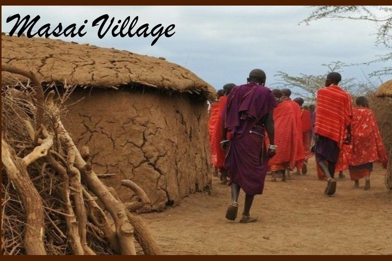 Day Tour to Masai Village From Nairobi