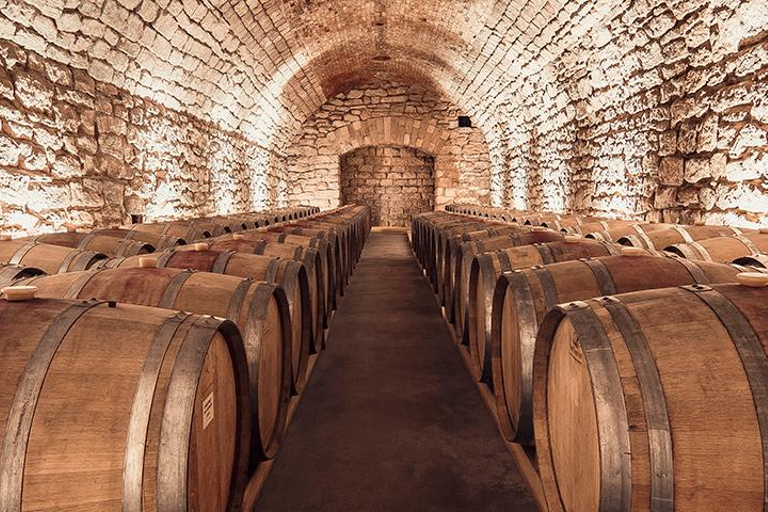 Desde Chisinau:Excursión a bodegas con cata de vinos a Castel MIMI