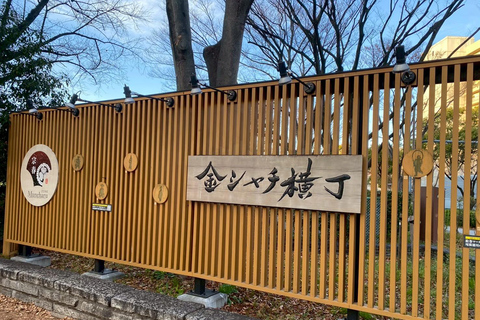 Nagoya’s Cultural Gems: Castle and Historic Residences