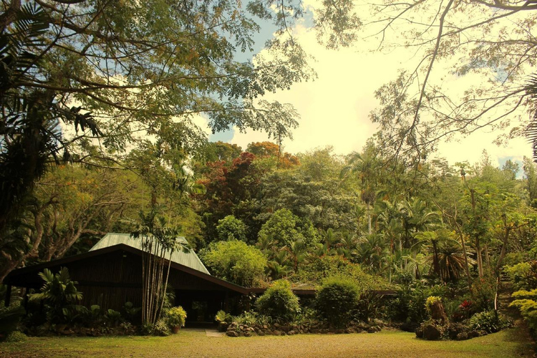 NADI: wycieczka po wykwintnym ogrodzie storczyków z gorącym źródłem i basenem błotnymOdbiór z InterContinental Fiji/Yatule Resort