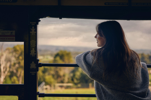 Melbourne: Puffing Billy Railway &amp; Penguin Parade Day TourCapa de chuva/Poncho