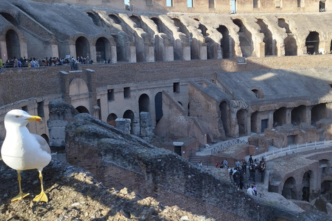 Roma: Coliseo +Ciudad Antigua con Guía - GRUPO PEQUEÑO 7 PAX