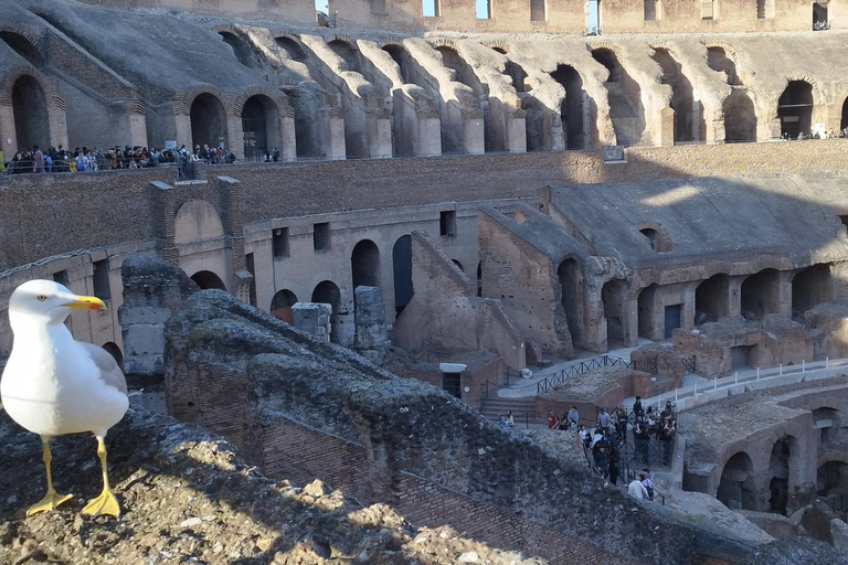 Roma: Coliseo +Ciudad Antigua con Guía - GRUPO PEQUEÑO 7 PAX