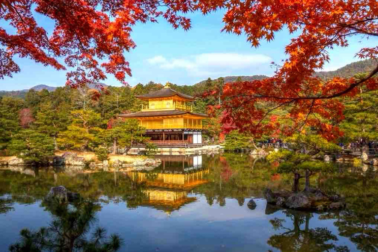 Kyoto & Nara: Private Guided Tour with Hotel Pickup