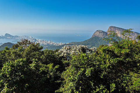 Jeep&#039;n&#039;Culture: Rocinha Favela och Tijuca Rainforest TourFrån Barra da Tijuca - Italienska