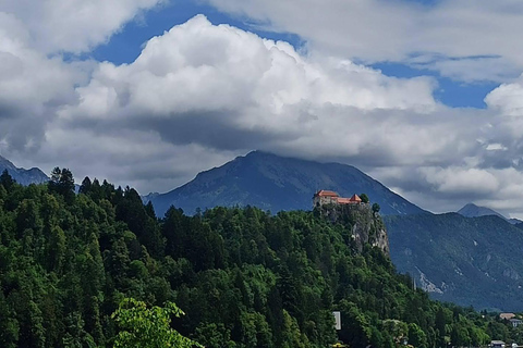 Slovenien: Bledsjön och Bohinjsjön Privat turSlovenien: Bledsjön och Bohinjsjön Privat tur med skåpbil