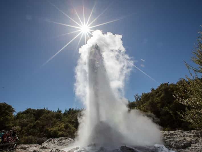 Tauranga: Wai-o-Tapu mit Redwood-Waldspaziergang oder Wald-Spa