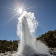 Tauranga: Wai-o-Tapu with Redwood Forest Walk or Forest Spa