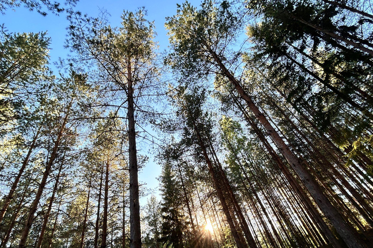 Helsinki: Guided Nature Experience with Campfire and Meal Private Experience from Helsinki