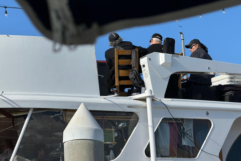 Marina del Rey: Yachts of the Rich and Famous Tour