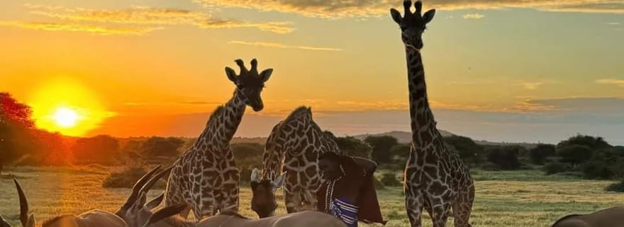JOURNÉE DÉDRIÉE AUX SERVALS - EXCURSION AU DÉPART D'ARUSHA, DE MOSHI OU DE ZANZIBAR.