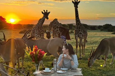 JOURNÉE FAUNE ET FLORE SAUVAGES - CIRCUIT AU DÉPART D&#039;ARUSHA, MOSHI OU ZANZIBAR.