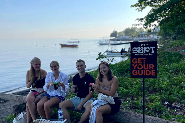 Bali: Dolphin Swimming Tour with ATV Quad Bike & Waterfall Dolphin, Waterfall, Tandem ATV Bike (Central & South Bali)