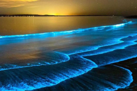 Bob Marley, Blue Hole, Secret Falls and Luminous Lagoon Tour From Montego Bay/ Falmouth/ Trelawny