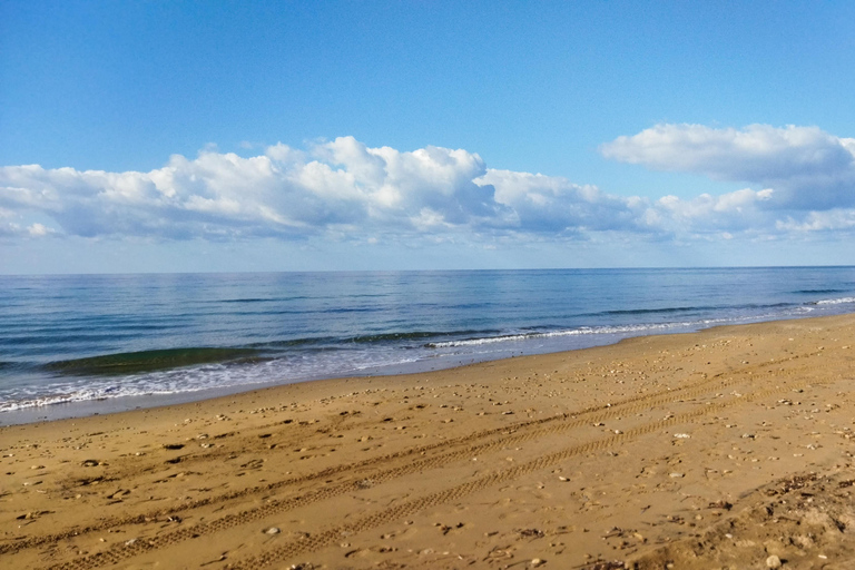 Corfu: South Island Tour with Chalikounas Beach Visit