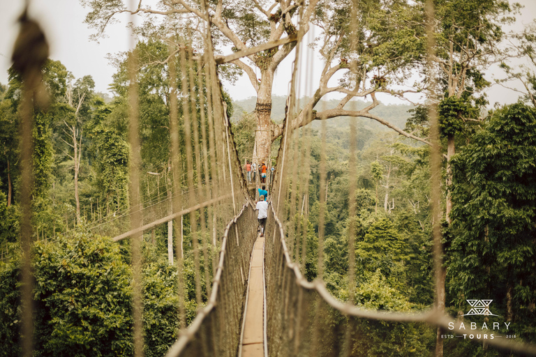 أكرا: جولة في غانا لمدة 5 أيام مع مركبات ATV وشلالات ورحلات سفاري
