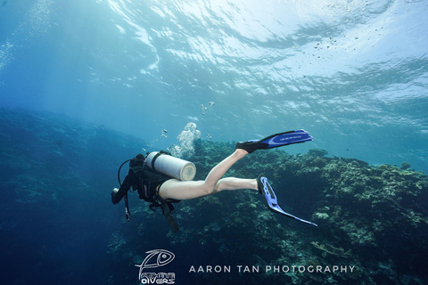 Fisheye Divers: PADI Open Water Course