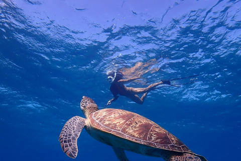 From Naha: Kerama Islands Snorkeling Boat Trip with Turtles