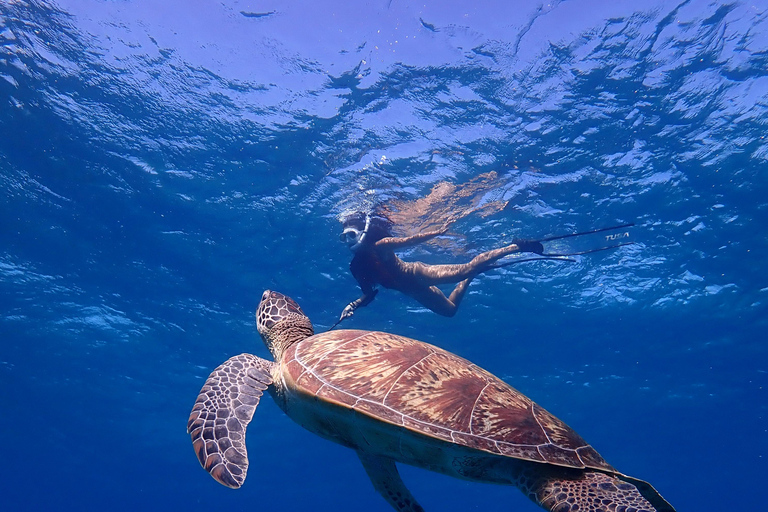 From Naha: Kerama Islands Snorkeling Boat Trip with Turtles