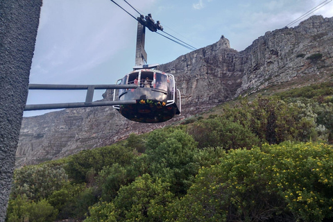 Kapstadt: Halbtagestour auf den Tafelberg mit Seilbahnfahrt