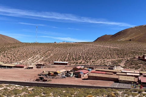 San Pedro de Atacama: El Tatio Geisers Field