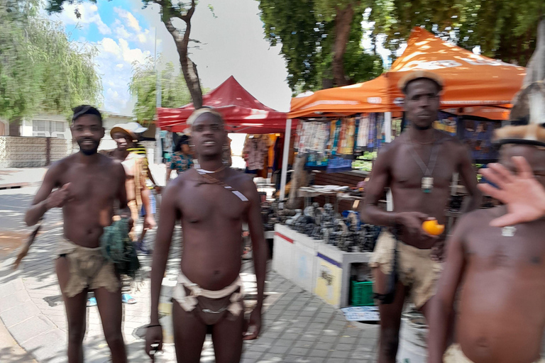 Tour guiado de medio día por Johannesburgo y Soweto