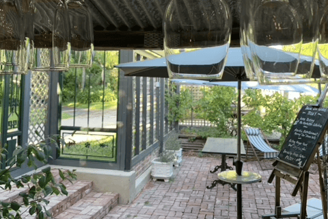 Adelaide: Local wine tasting & cheese platter | McLaren Vale Small group experience
