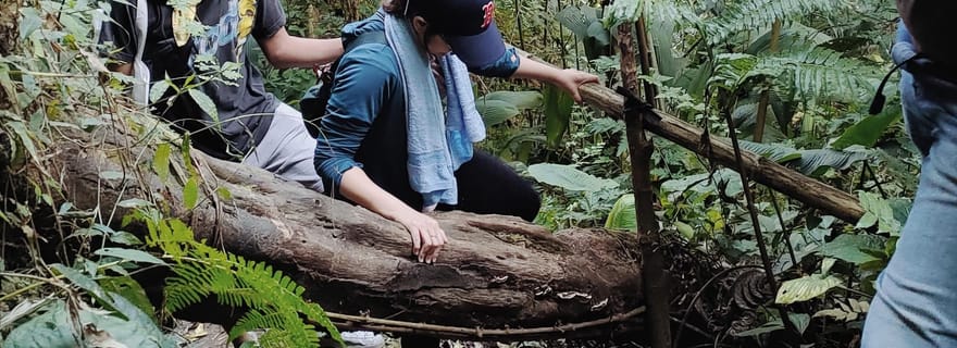 De Jakarta à Bogor : Excursion d'une journée à la cascade de Luhur et au lac Lido