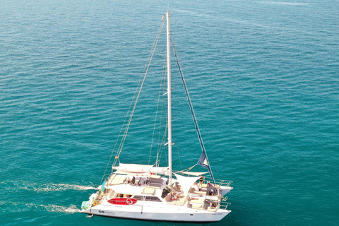 Arguineguin : Catamaran excursion with lunch and drinks Standard ticket