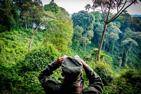 2 JOURS DE SUIVI DES CHIMPANZÉS DANS LE PARC FORESTIER DE NYUNGWE