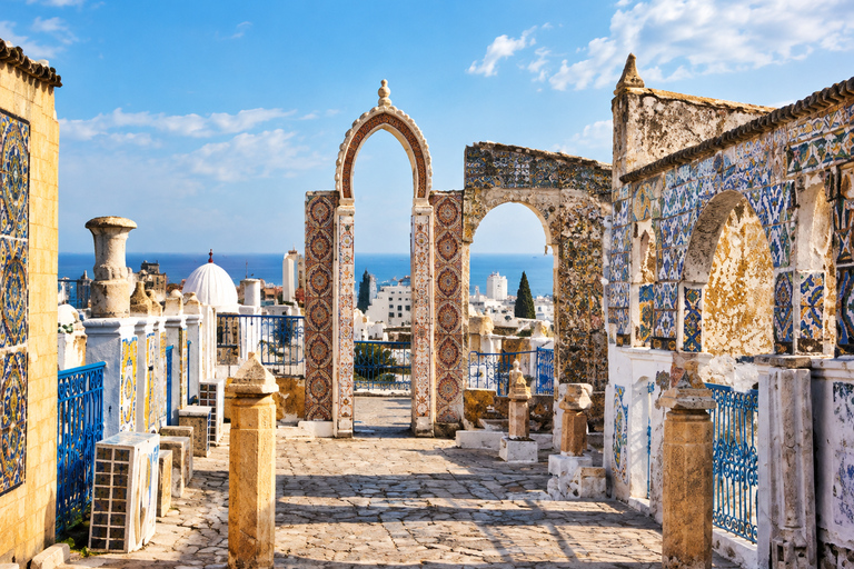 Tunis: Medina, Carthage, and Sidi Bou Said Guided Day Tour