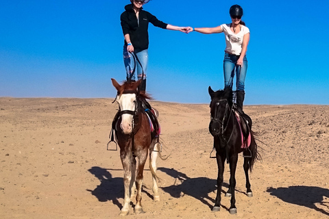 Hurghada : Aventure à cheval dans le désert d'Arabie et la merRandonnée à cheval de 2 heures depuis El Gouna, Soma Bay, Safaga