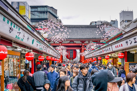 Tokyo - en halvdag Halvdagsutflykt på morgonen i liten grupp