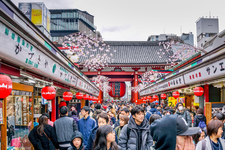 Tokio: Halbtagestour Kleingruppentour am Morgen