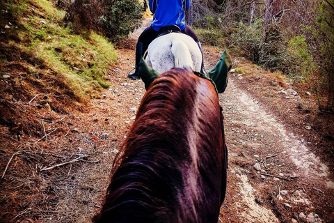 Alicante: Passeio a cavalo de 2 horas em Villajoyosa