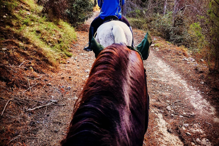 Alicante: Passeio a cavalo de 2 horas em Villajoyosa