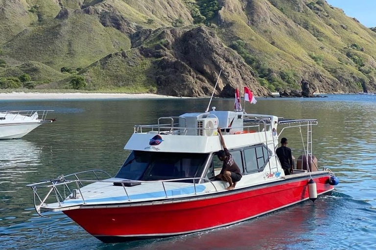 Labuan Bajo: Komodo Islands Full-Day Speedboat Tour